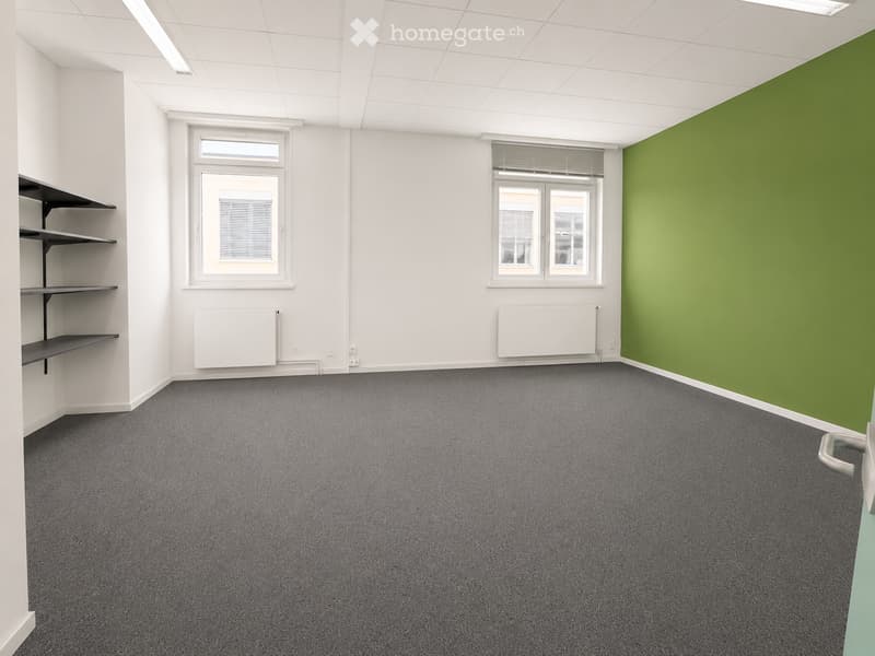 Empty room with white walls, grey carpet, two windows, radiators, and a black shelving unit on the left side.