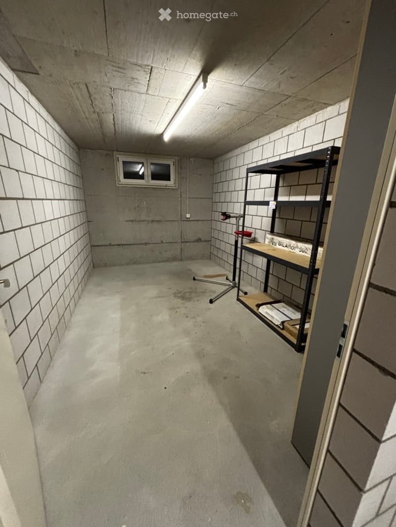 Empty basement room with concrete walls and floor, a small window, and a single metal shelving unit with a few items on it.