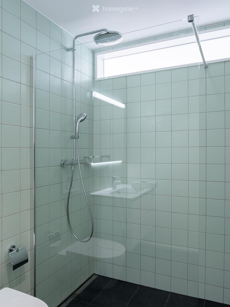 Modern bathroom with light green tiled walls, a glass-enclosed shower area, a handheld showerhead, a sink, and a toilet paper holder.