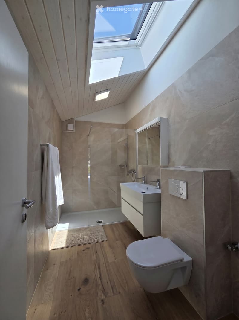 Modern bathroom with wooden flooring, a white sink, toilet, mirror, and a glass-enclosed shower area. Natural light streams in through a skylight window.