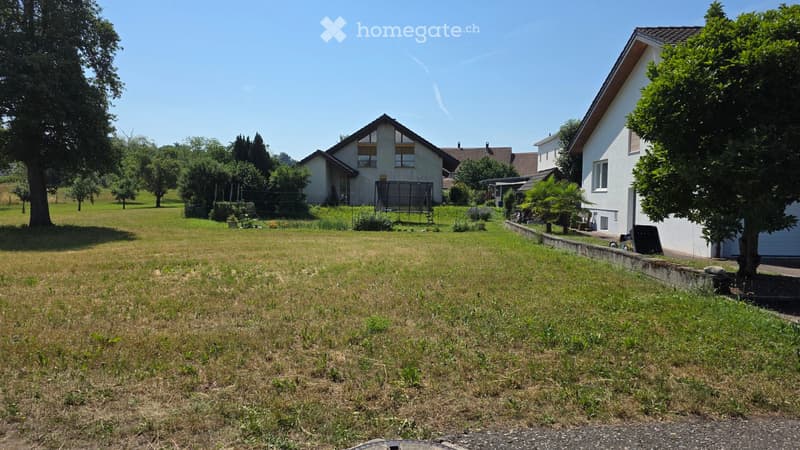A large, grassy yard with a few trees and a trampoline in the background, surrounded by houses and greenery.
