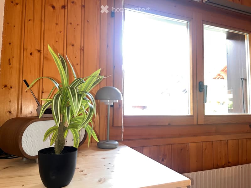 A wooden-framed window with a potted plant on a wooden table, a lamp, and a speaker visible in the background.