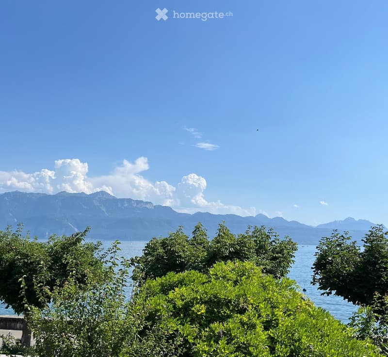 A serene garden view overlooking a lake with distant mountains, surrounded by lush green bushes and trees.