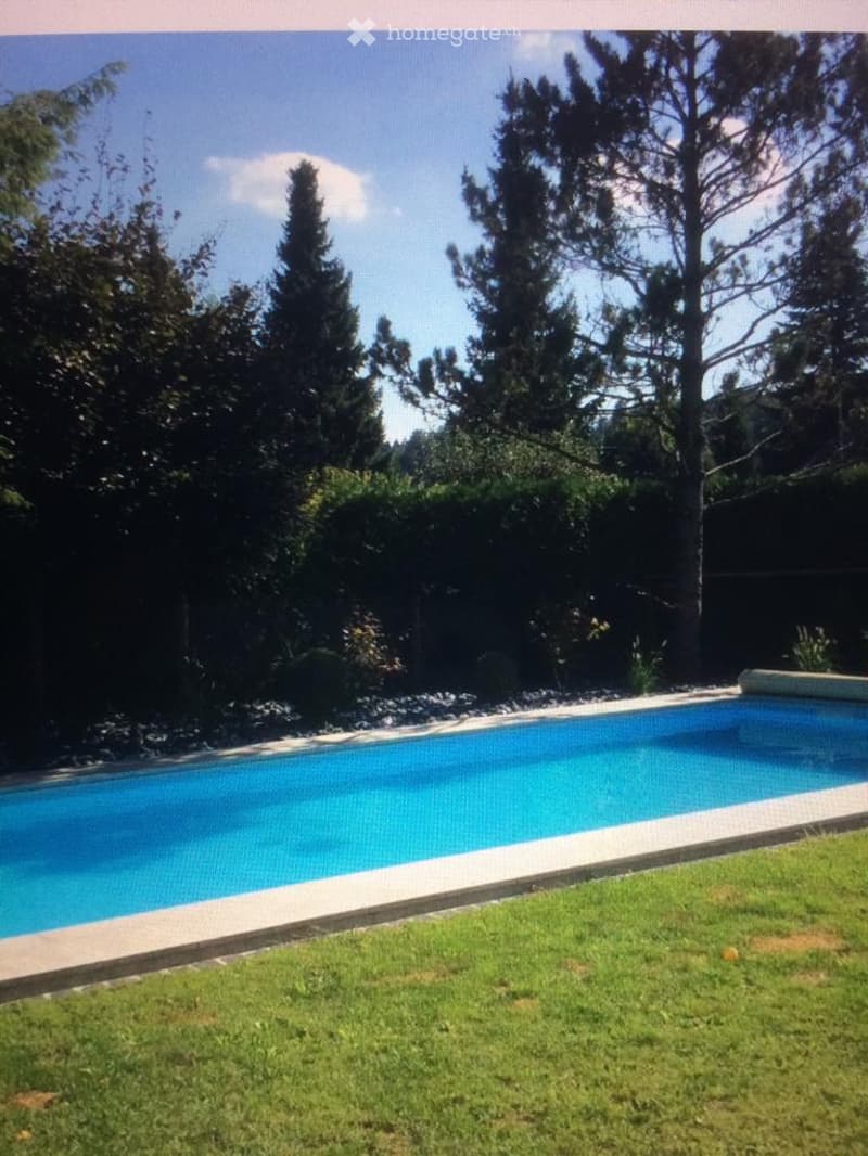 A rectangular swimming pool surrounded by a paved edge, with a grassy lawn and trees in the background.