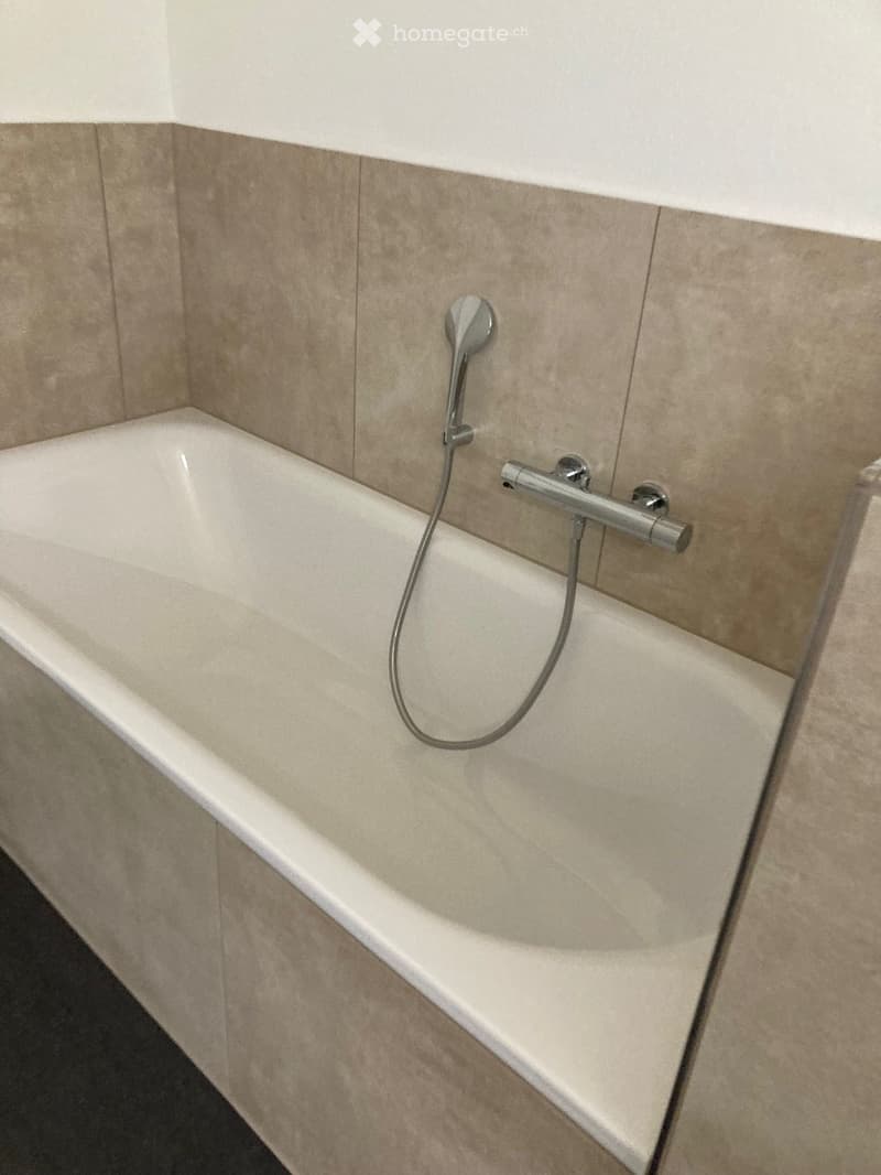 Modern bathroom with a white bathtub, a handheld showerhead, and a chrome faucet.