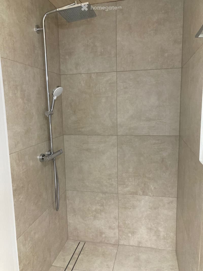 Modern shower area with beige tiled walls and floor, featuring a handheld showerhead and a fixed overhead showerhead.