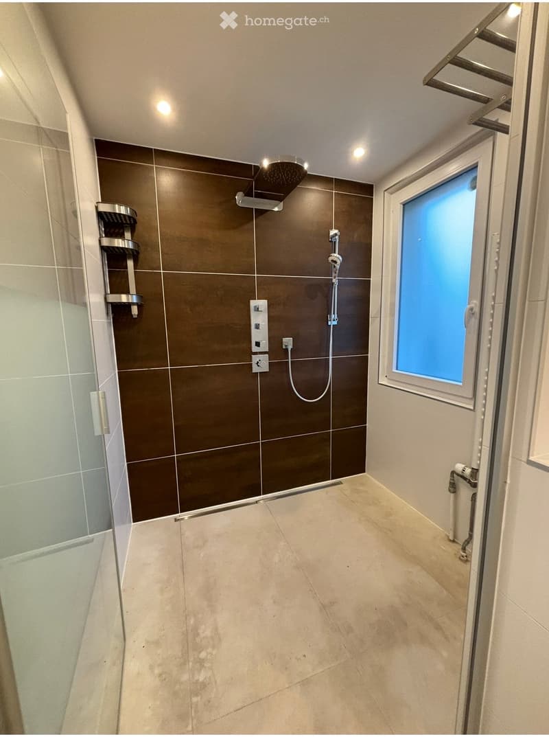 Modern bathroom with dark brown tiles, a glass shower enclosure, a built-in shower shelf, and a window with frosted glass.