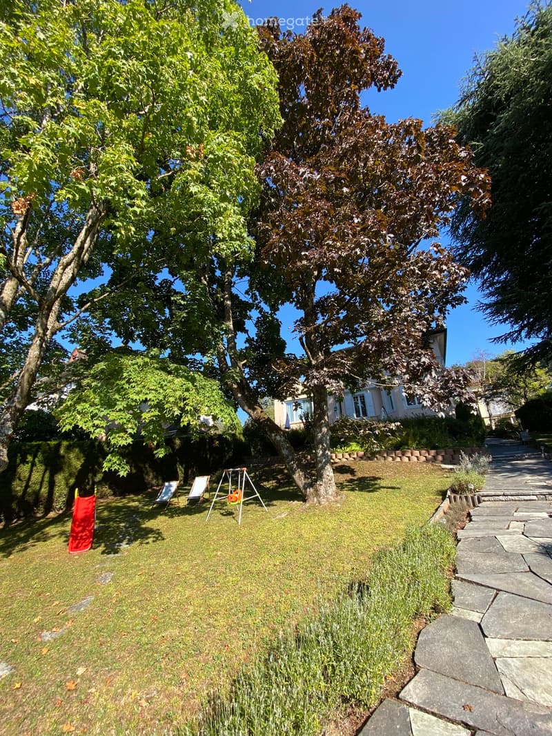Well-maintained garden with a large tree, lawn, stone pathway, and a swing set.
