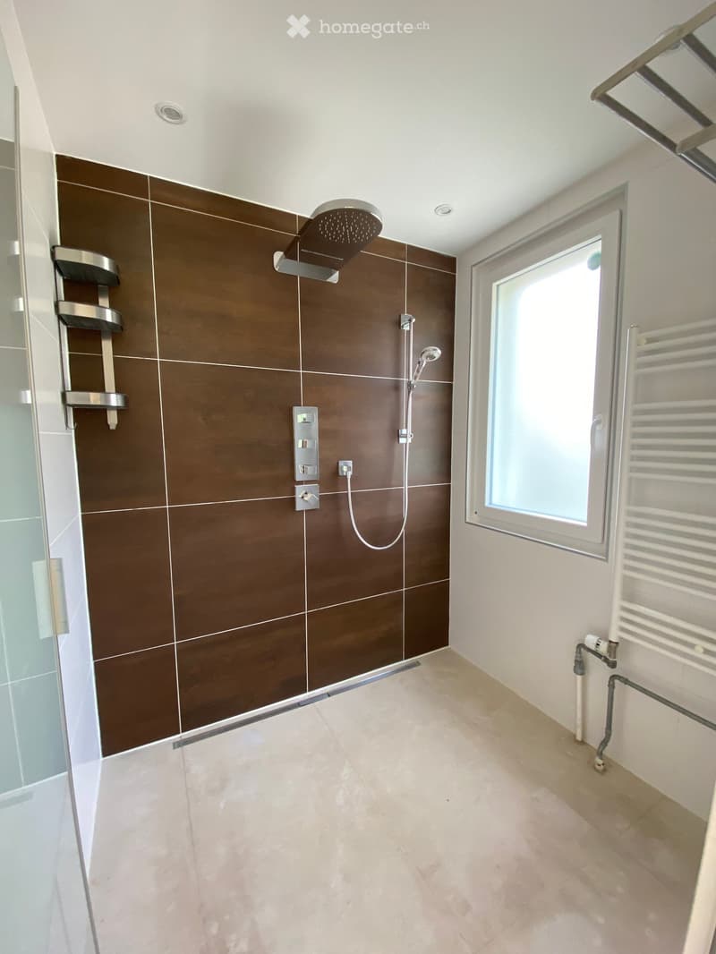 Modern bathroom with brown tiled walls, a large showerhead, a towel rack, and a radiator. The floor is tiled in a light beige color, and there is a window providing natural light.