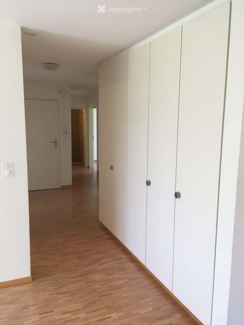 Empty hallway with light wooden flooring, white walls, built-in white closet units, and a ceiling light fixture.