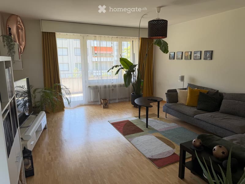 Modern living room with wooden flooring, large windows, a grey sofa with colorful cushions, a coffee table, a TV stand, and decorative plants.