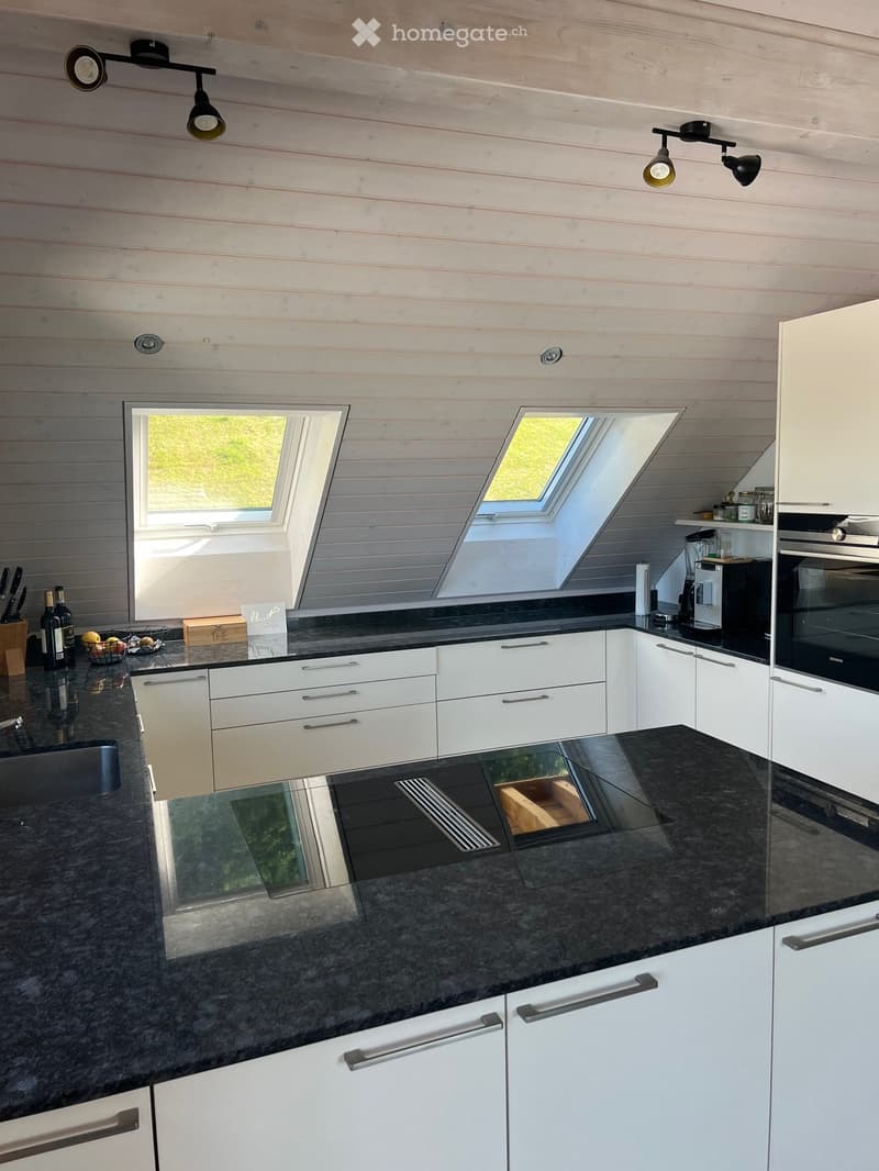 Modern kitchen with white cabinets, dark granite countertops, stainless steel appliances, and skylight windows. Features include an oven, coffee machine, blender, and various kitchen accessories.
