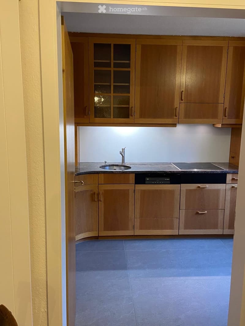 Modern kitchen with wooden cabinets, a sink, a dishwasher, and a countertop.