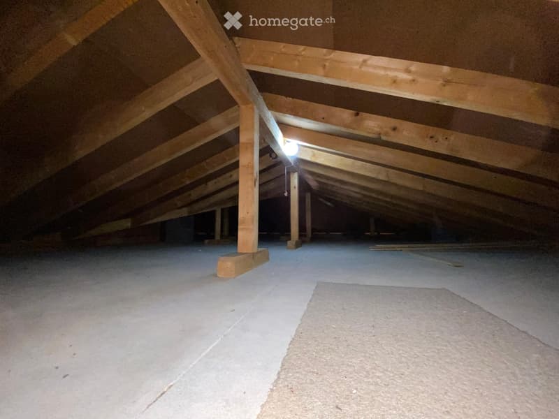 Empty attic space with exposed wooden beams and concrete floor, illuminated by a single overhead light fixture.