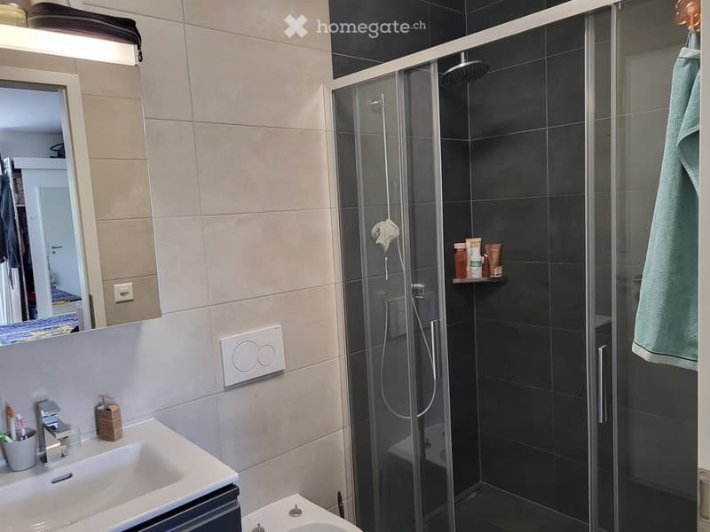 Modern bathroom with a white sink, mirror, glass-enclosed shower, and a towel hanging on the side.