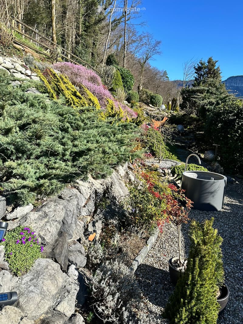 A landscaped garden with various plants, shrubs, and rocks, featuring a modern water feature and a pathway.