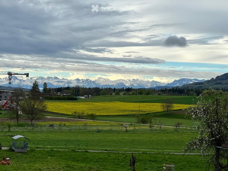 A wide, green field with scattered trees and a yellow flowered area, with a mountainous backdrop and a few buildings and vehicles visible in the distance.