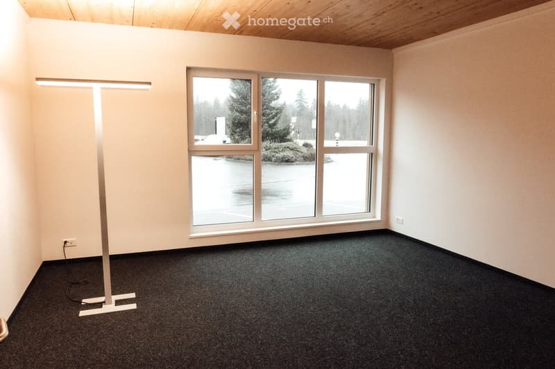 Empty room with carpeted floor, large window with a view of a parking lot and trees, and a modern floor lamp.