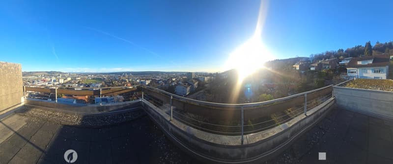 Roof terrace with a panoramic city view, modern metal railing, and clear blue sky.