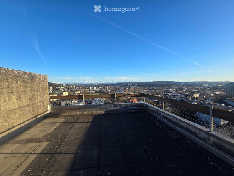 Roof terrace with concrete floor, metal railing, and panoramic city view with mountains in the distance.