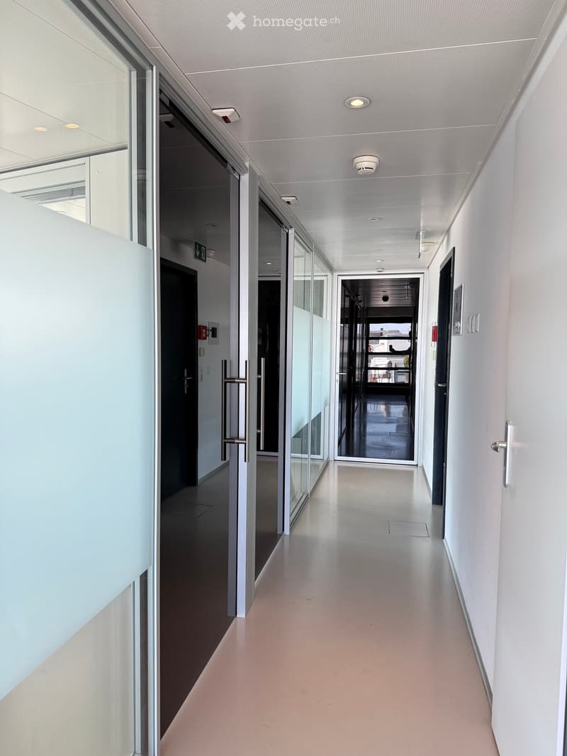 Modern hallway with white walls, glass doors, and recessed lighting. Features polished concrete floors and metal door handles.
