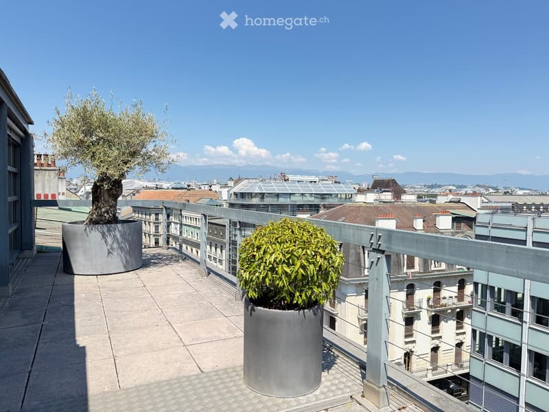 Rooftop terrace with two large potted trees, modern railing, and cityscape view.