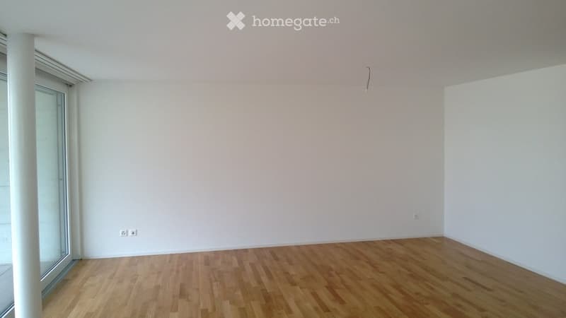 Empty room with light-colored walls and wooden flooring, featuring a large window with a view.