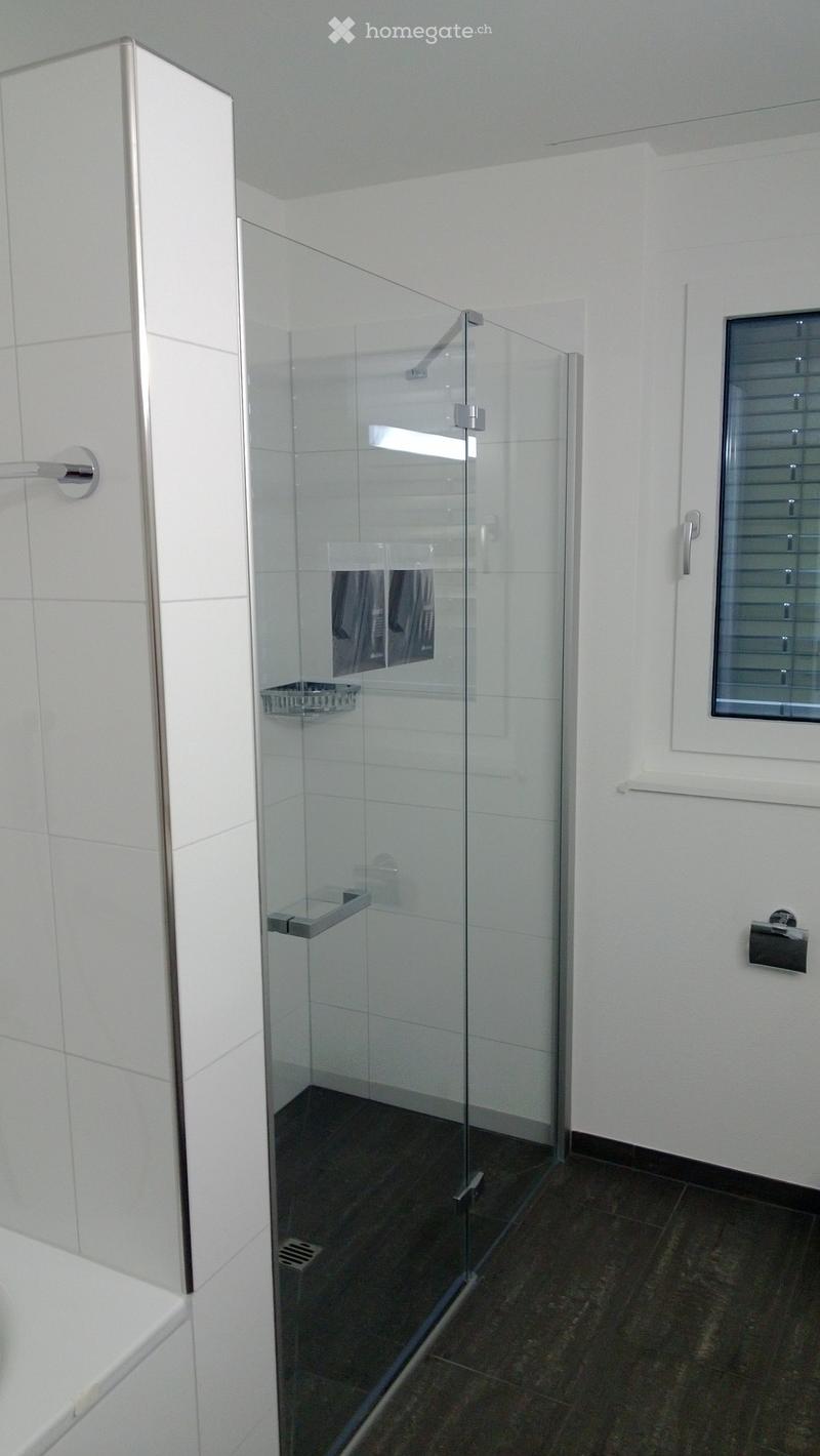 Modern bathroom with a bathtub, glass shower enclosure, glass shelves, towel rack, and toilet paper holder.