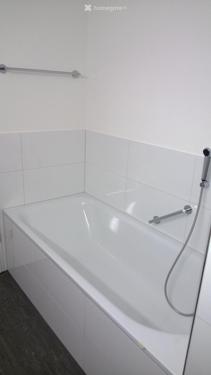Modern white bathtub with built-in grab bars and a handheld shower hose.