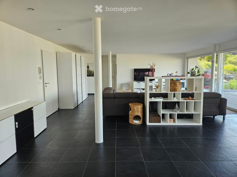 Modern living room with black tiled flooring, white walls, and large windows. Features a grey sectional sofa, a white shelving unit with decorative items, a wicker basket, a cat bed, and a television on a stand.