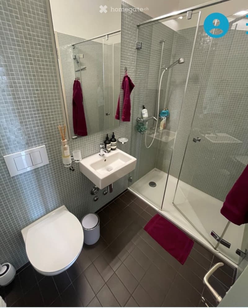 Modern bathroom with a white toilet, sink, and glass-enclosed shower. The walls are tiled in a light blue pattern, and the floor is dark tiled. A red towel hangs on the shower door, and a small trash can is placed near the toilet.