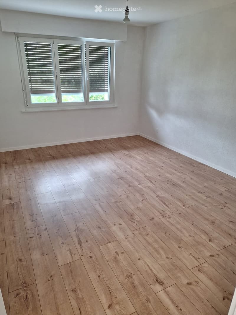 Empty room with light wooden flooring and white walls, featuring a large window with blinds and a single ceiling light fixture.