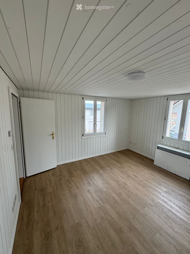 empty room with white walls and wooden floor, two windows, white door, and a ceiling lamp