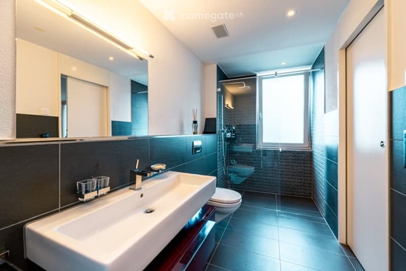 Modern bathroom with a large sink, mirror, toilet, and glass-enclosed shower. Dark tiles and sleek fixtures.