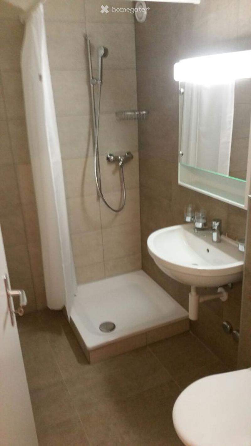 Modern bathroom with a walk-in shower, a white sink, a mirror, and a toilet. The shower features a handheld showerhead and a built-in seat.