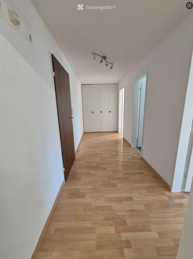 A clean, well-lit hallway with light wooden flooring, white walls, and a built-in white closet. A wooden door is visible on the left, and a track light fixture hangs from the ceiling.