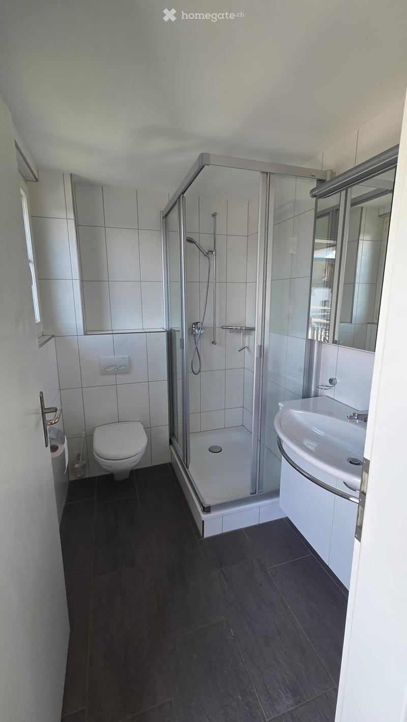 Modern bathroom with white tiles, black floor, shower stall, toilet, sink, and mirror.