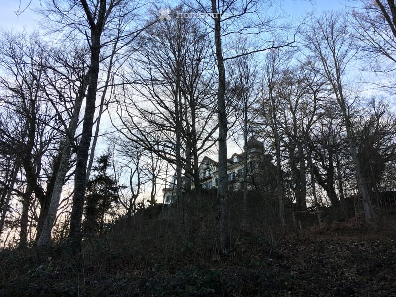 A two-story house partially obscured by tall, leafless trees, with visible windows and a balcony on the upper level.