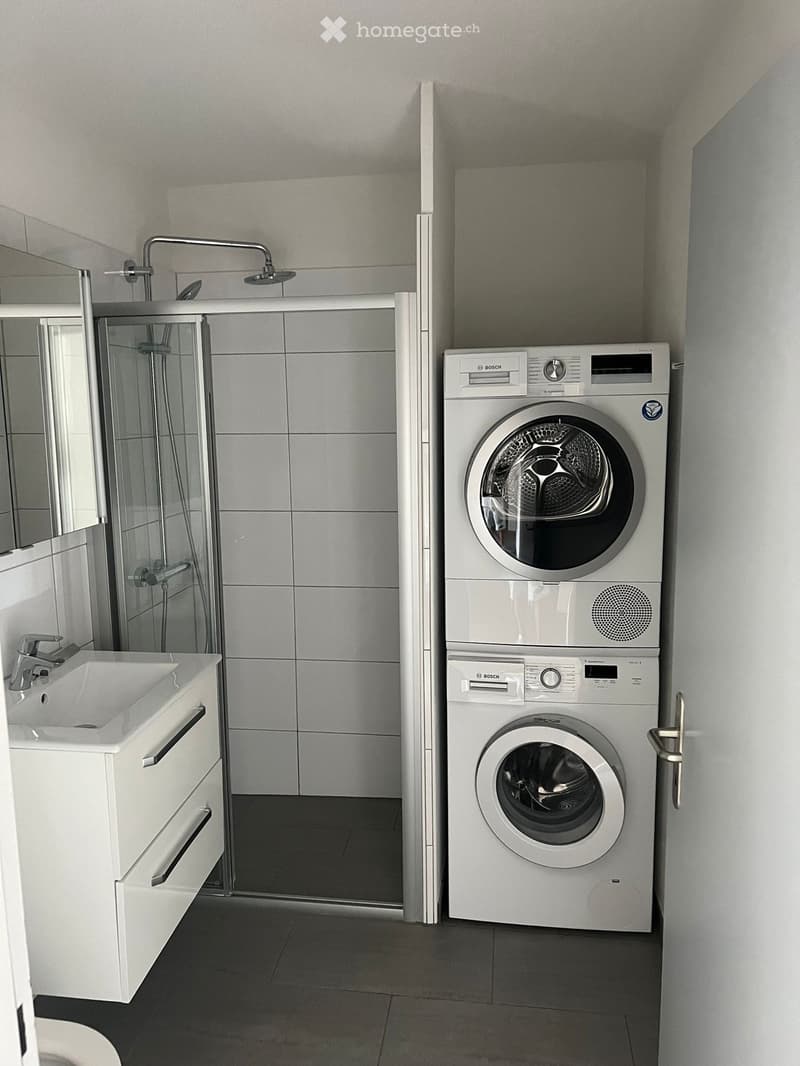 Modern bathroom with a white sink, mirror, shower, and stacked Bosch washing machine and dryer.