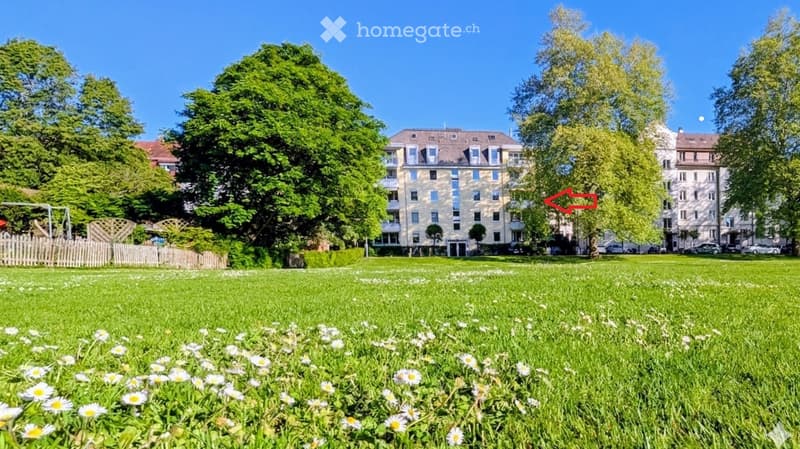 A well-maintained park area with green grass, white daisies, and trees, with a multi-story residential building in the background.