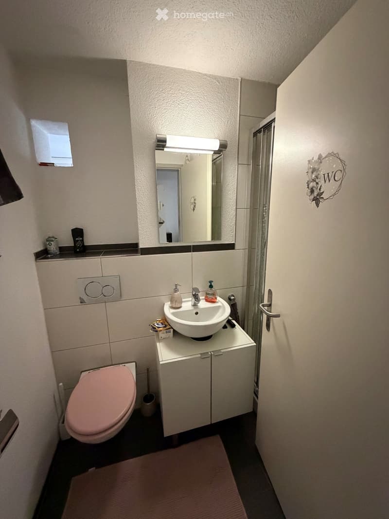 Modern bathroom with a white sink, pink toilet, mirror, and shower stall. Includes a cabinet, light fixture, and various toiletries.