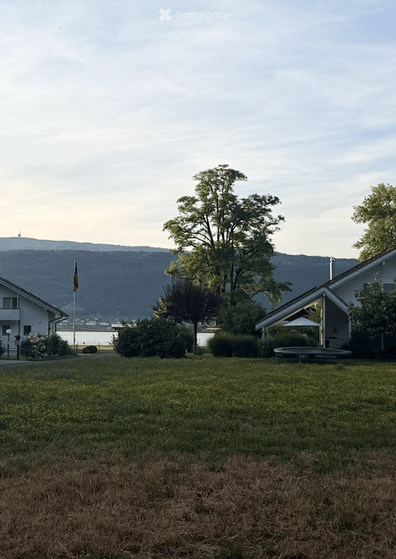Lush green lawn with trees, bushes, and a trampoline, with houses and a distant mountain range in the background.