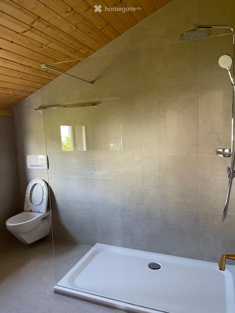 Modern bathroom with a white toilet, a bathtub, and a glass-enclosed shower area with a handheld showerhead. The walls are tiled in a light gray color, and the ceiling has wooden slats.