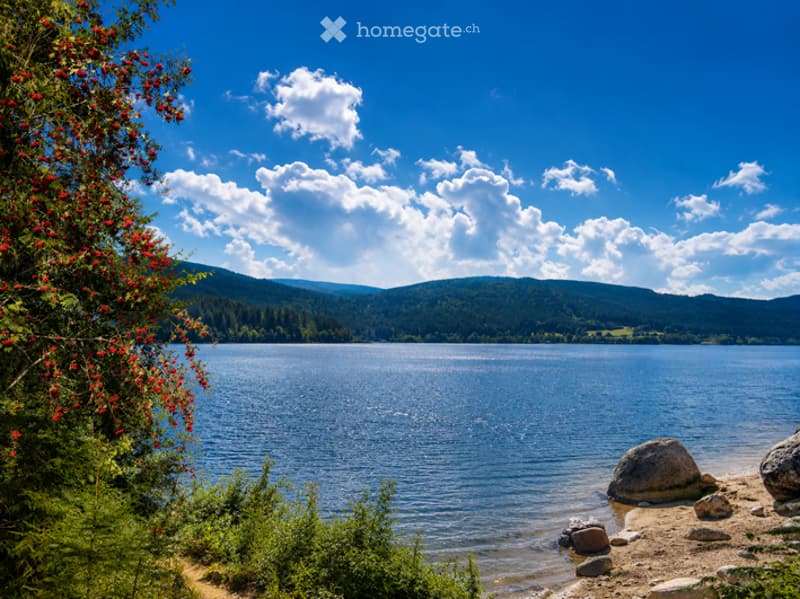 A serene lake surrounded by lush green trees and distant mountains under a bright blue sky with scattered clouds. The foreground features a sandy shore with scattered rocks and a bush with red flowers.
