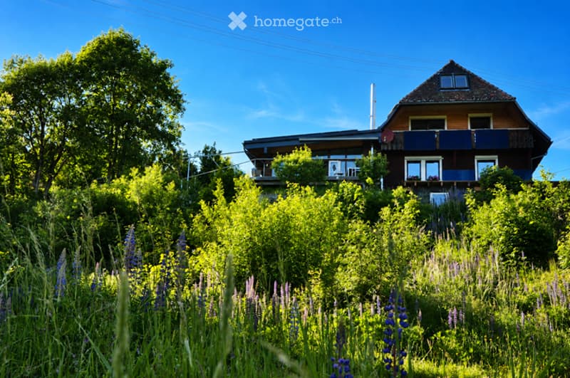 A two-story house with a pitched roof, surrounded by lush greenery and wildflowers under a clear blue sky.