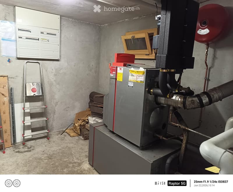 Utility room with heating system, electrical panel, ladder, and various pipes and equipment.
