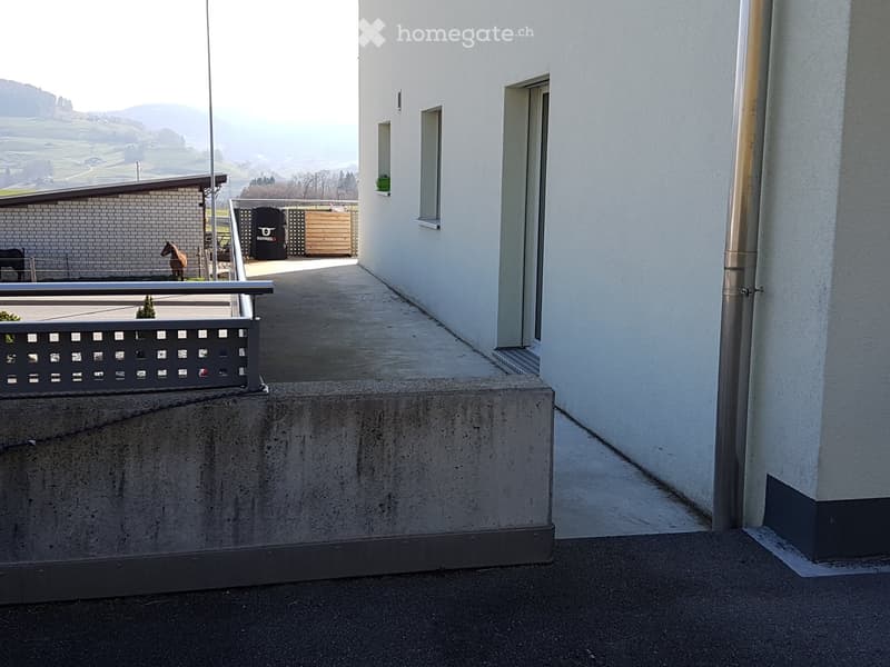 Balcony with metal railing, overlooking a rural landscape with a stable and horses in the background.