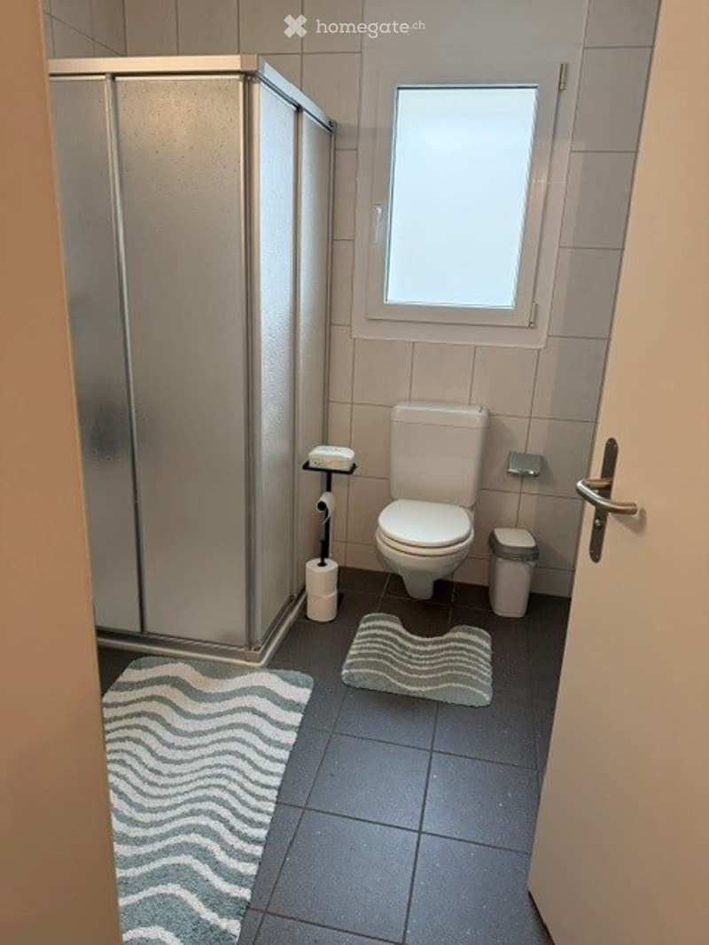 Modern bathroom with a toilet, shower, toilet paper holder, trash bin, and two rugs on the floor.