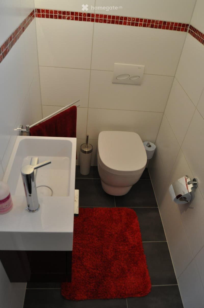 small bathroom with white tiles, white sink, red rug, white toilet, toilet paper holder