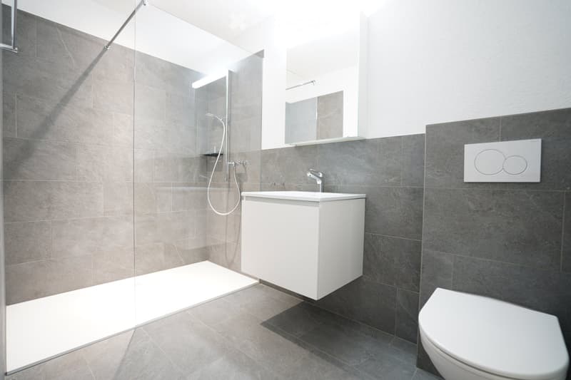Modern bathroom with grey tiles, white sink, toilet, and a glass-enclosed shower area.
